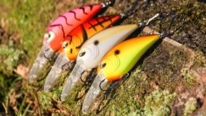 Jenko CD7 Medium Diving Crankbait Review