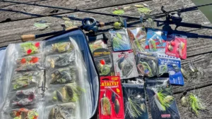 Best Spinnerbaits for Fishing in 2024
