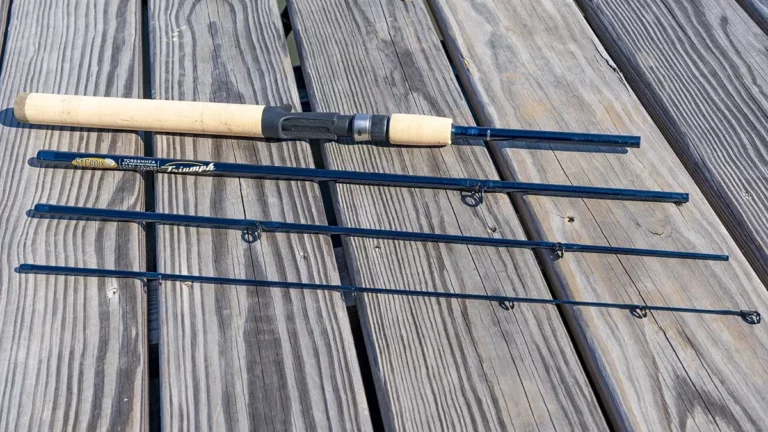 Best Travel Spinning Rod In 2020 – Pick Up The Most Budget