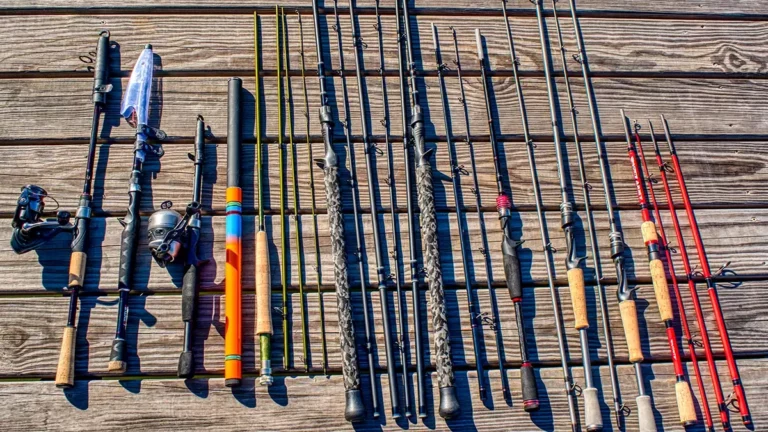Best Travel Fishing Rods | 2023 Buyer’s Guide