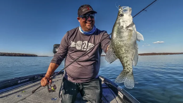 Best Crappie Jigs – Buying and Fishing Guide