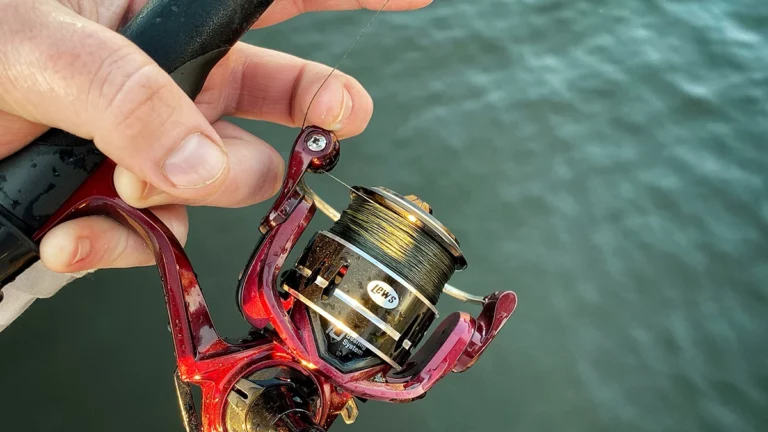 Best Fishing Lines for 2024 - Wired2Fish