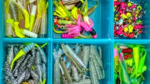 Best Crappie Jigs – Buying and Fishing Guide