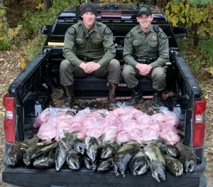 Michigan DNR Busts Poachers with 460 Pounds of Illegally Caught Salmon