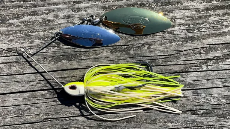 The Best Colors for Bass Fishing - Kraken Bass
