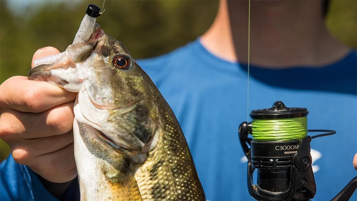 Affordable Braided Fishing Line? - Review of Piscifun Lunker Braid 