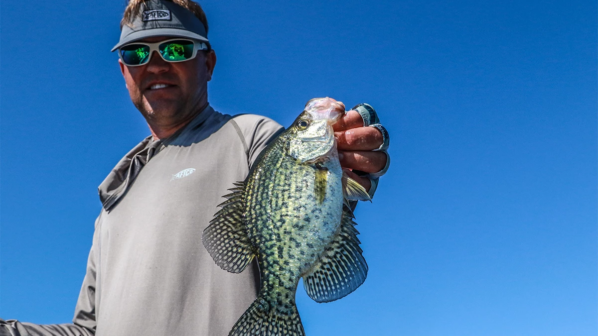 How to Catch Crappies on Jigs Around Trees - Wired2Fish