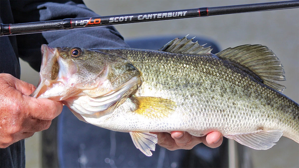 Halo Fishing Scott Canterbury Series Casting Rod Review - Wired2Fish
