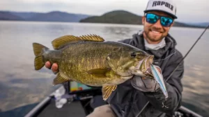 Fall Bass Fishing Lures | Palaniuk’s Top 5