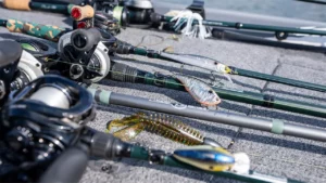Best Fall Bass Lures and Setups for Grass Lakes