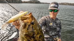 Jerkbaits for Open Water Bass with Forward-Facing Sonar