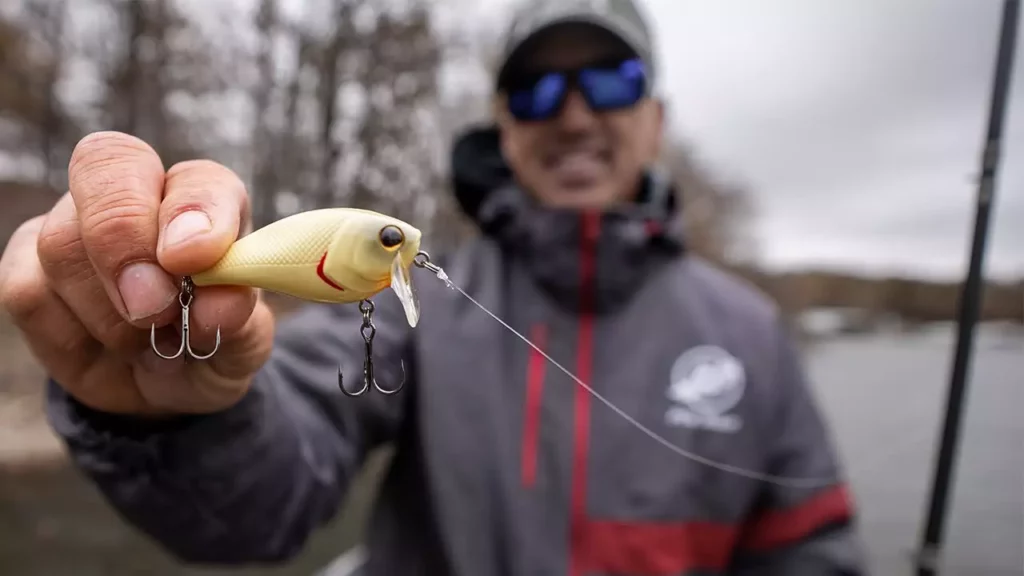 How to Fish Shallow-Diving Crankbaits for Fall Bass - Wired2Fish