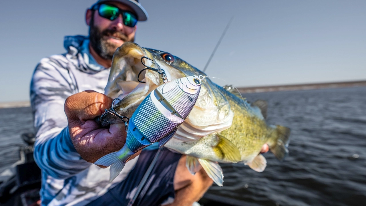 Here's how to fish multi-jointed swimbaits for fall bass