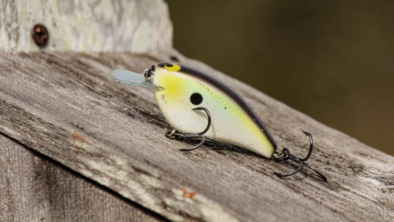 5 Great Crankbaits for Fall Bass Fishing