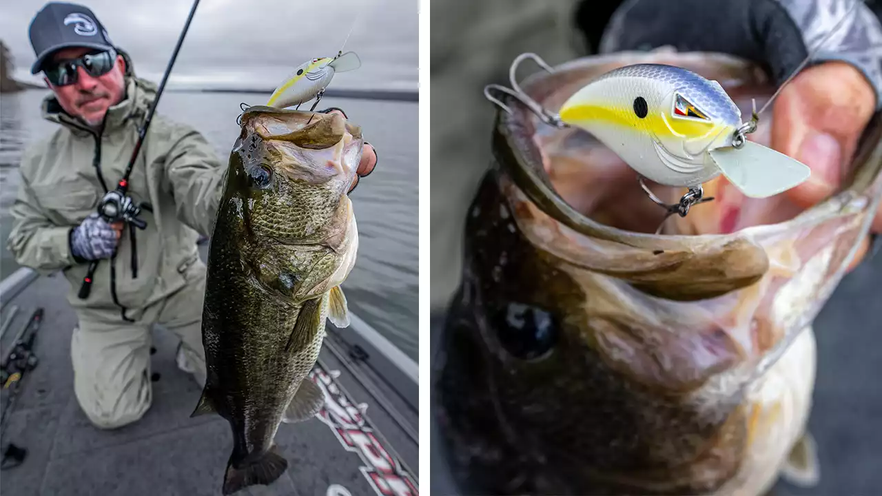 how to fish flat-sided crankbaits for fall and winter bass