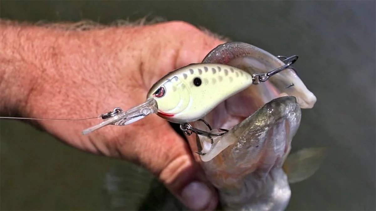 5 Great Crankbaits for Fall Bass Fishing - Wired2Fish