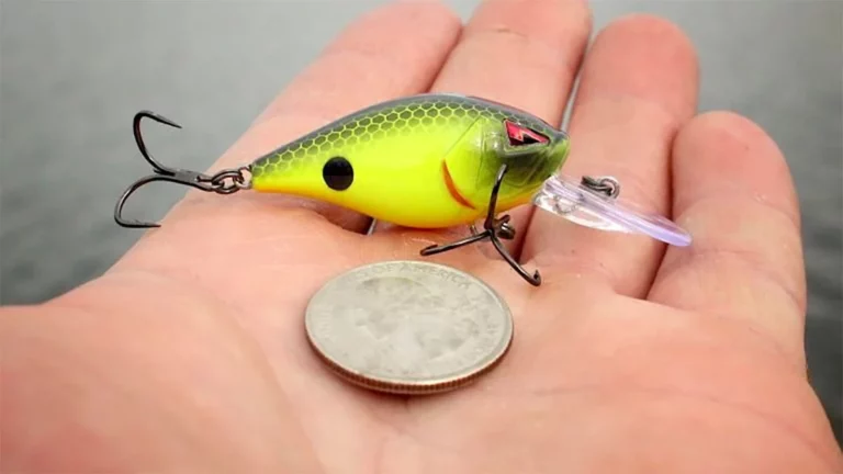 5 Great Crankbaits for Fall Bass Fishing