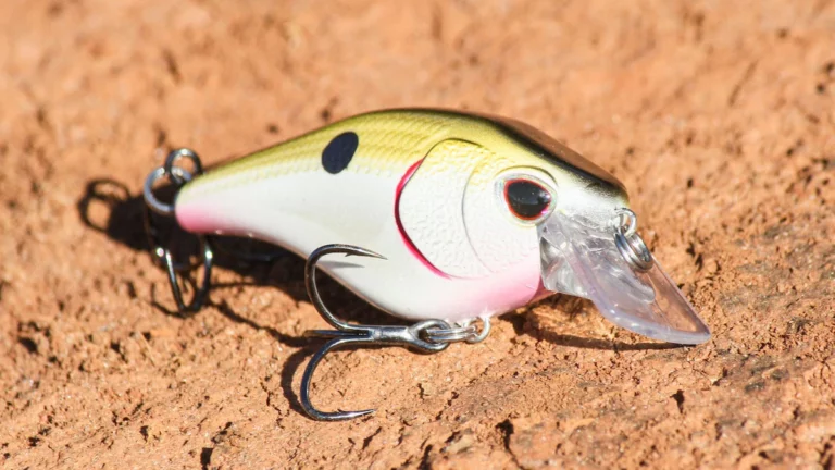 5 Great Crankbaits for Fall Bass Fishing