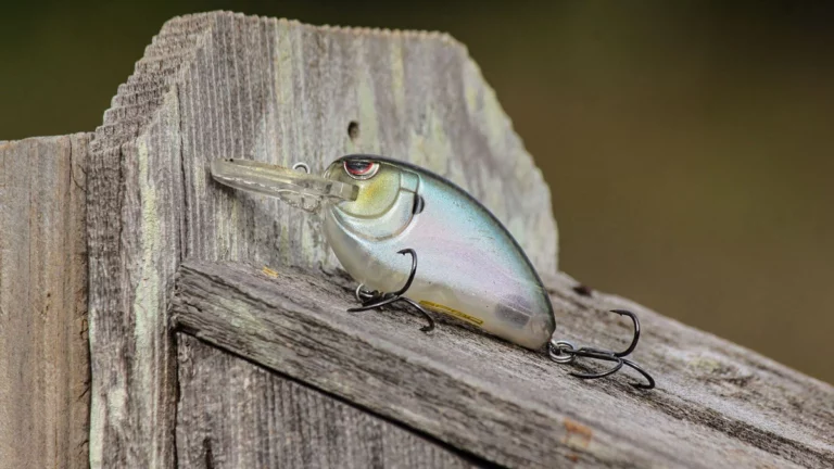 5 Great Crankbaits for Fall Bass Fishing