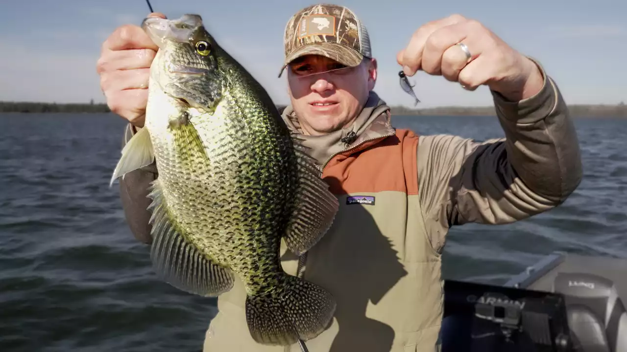 Fall Crappie Fishing with plastics and BFS