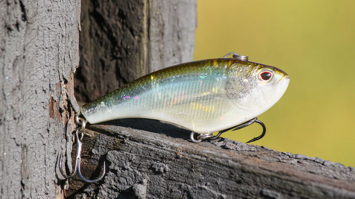 Fish A BIG Rattle Trap Lipless Crankbait in Winter Early Spring 
