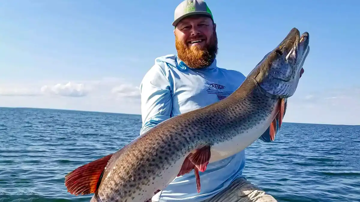 MN Record catch release musky certified