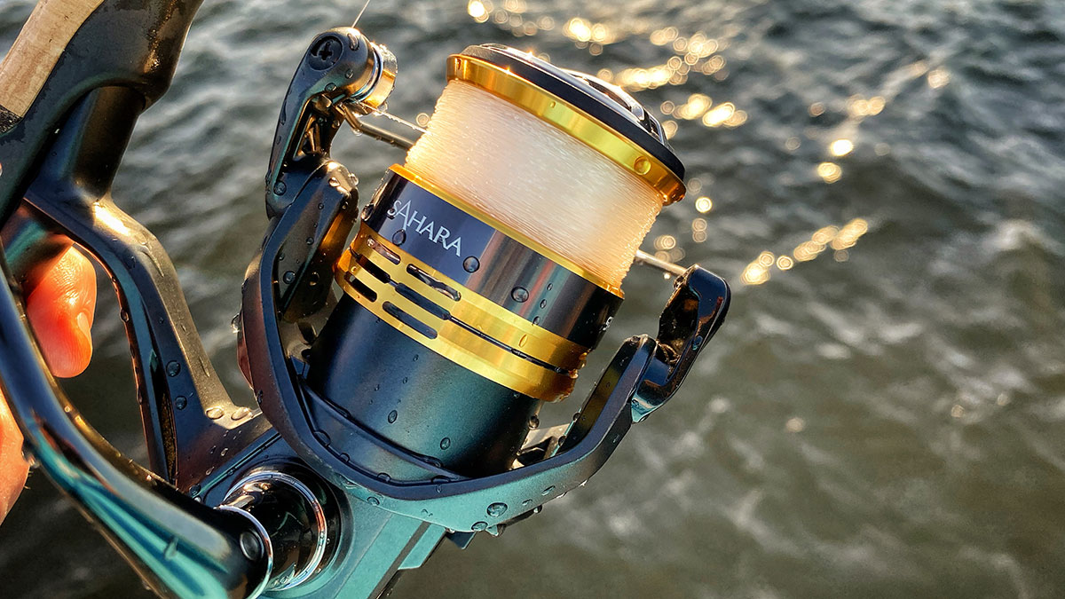 Top 5 Best Spinning Reels Under $100 Review - (2024 Buying Guide) 