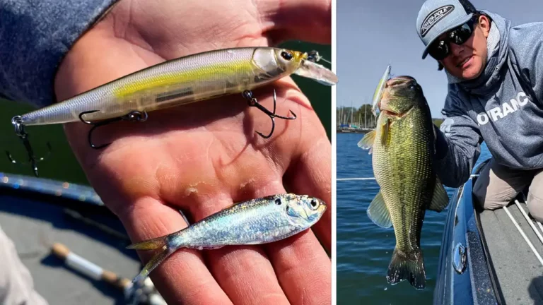 Winter Jerkbait Fishing Bass on Grass Lakes