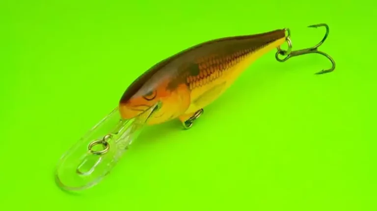 The Best Bass Fishing Lures