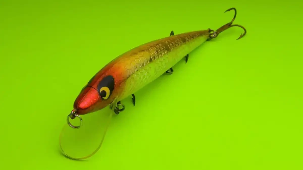 Flameer Lifelike Trout Carp Pike Perch Bass Fishing Lure Kit, Freshwater  Artificial baits,Saltwater Fishing Bait Tackle Box