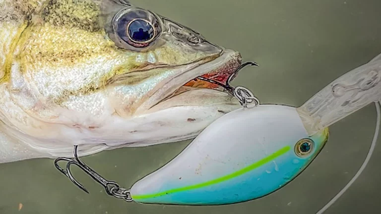 Strike King KVD HC Flat Side 1.5 Crankbait Review