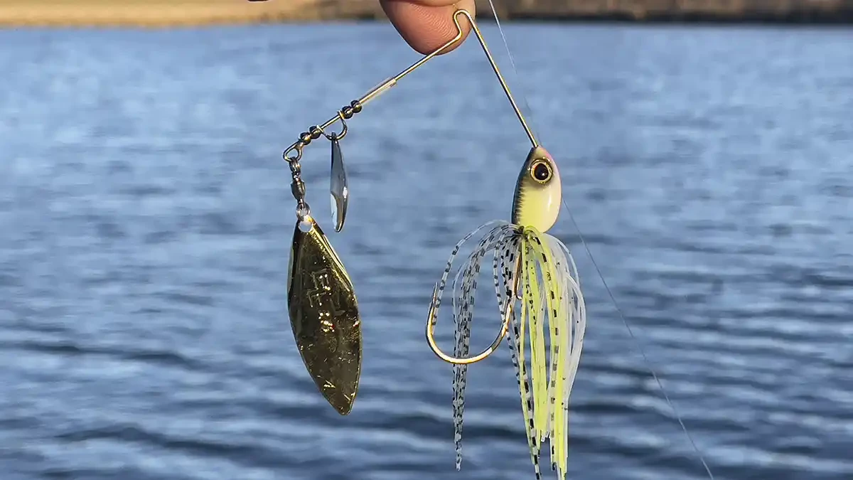Shimano Swagy Strong Colorado Willow Spinnerbait Review - Wired2Fish