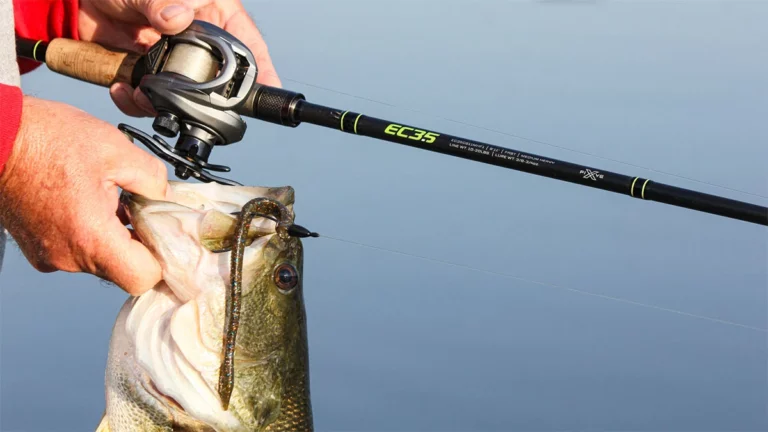 Eagle Claw 3.5 Pro Series Casting Rod Review