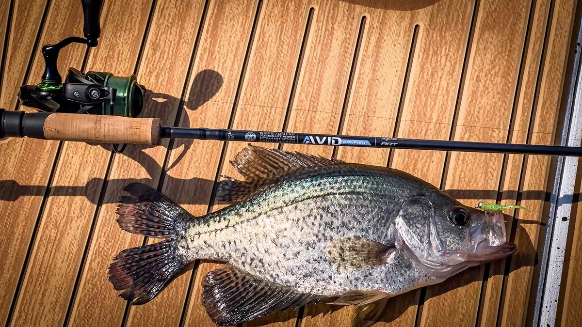 St. Croix® Panfish Spinning Rods