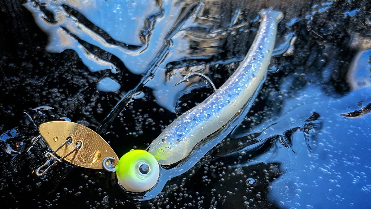 Z-Man ChatterBait WillowVibe Review - Wired2Fish