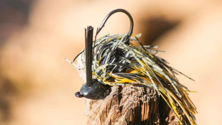 How to Select the Perfect Bass Fishing Jig