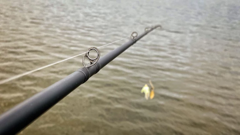 Savage Gear Black Ops Casting Rod Review