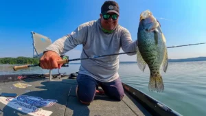 St. Croix Avid Panfish Rods Review