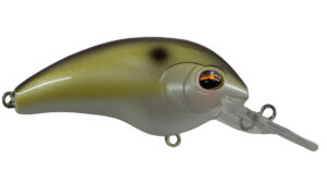 Jenko Fishing TB5 Crankbait Giveaway Winners