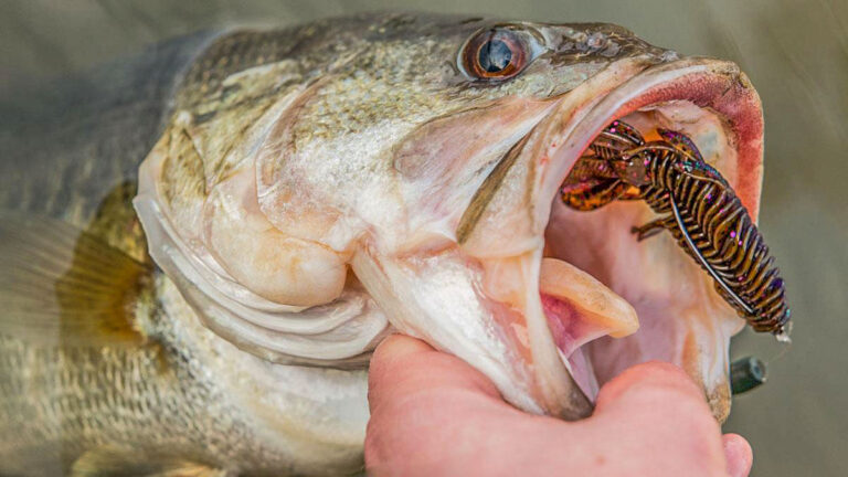 4 Old-School Tricks for Tough Winter Bass Fishing