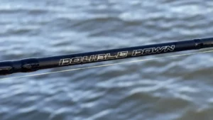 Jenko Double Down BFS Rod Review