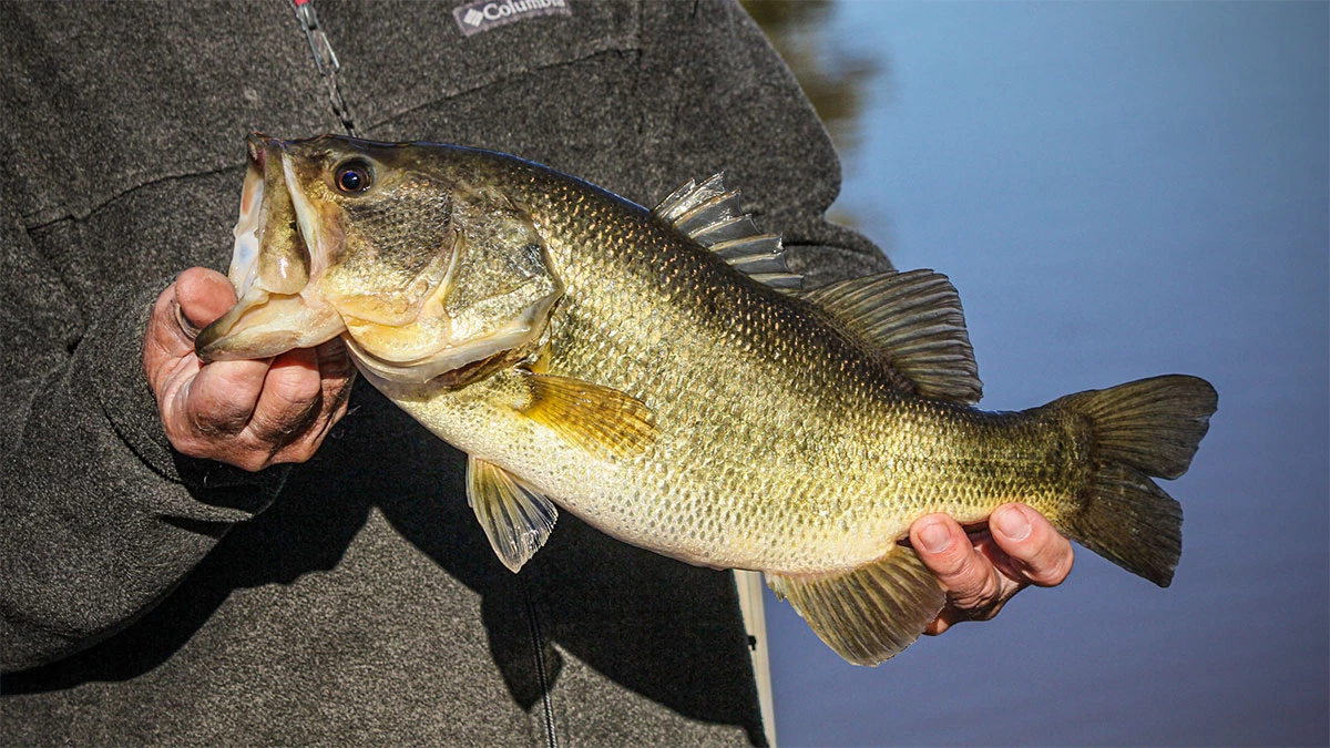 6 Tips to Make Your Fishing Tackle Last Longer - Wired2Fish