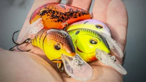 Jenko TB5 Crankbait Review