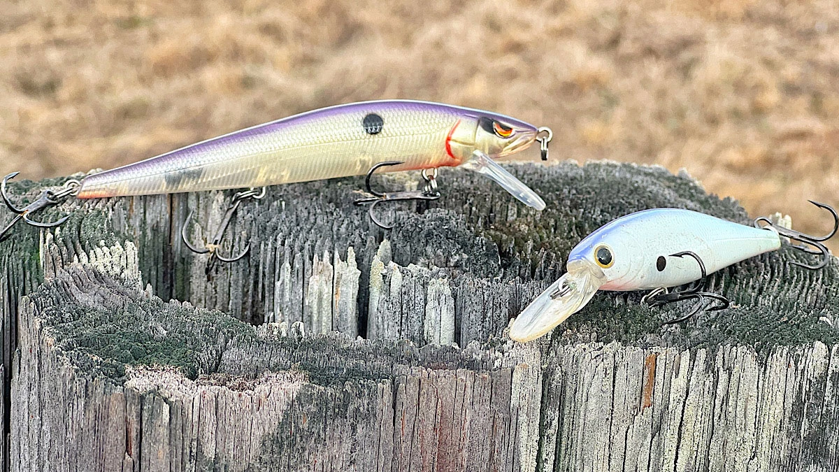 Kraken Bass - You Can Avoid Wasting Countless Hours Bass Fishing By Using  This Chart To Pick the Right Lure Color Every Time. Here's your chance to  get it FREE! ---->