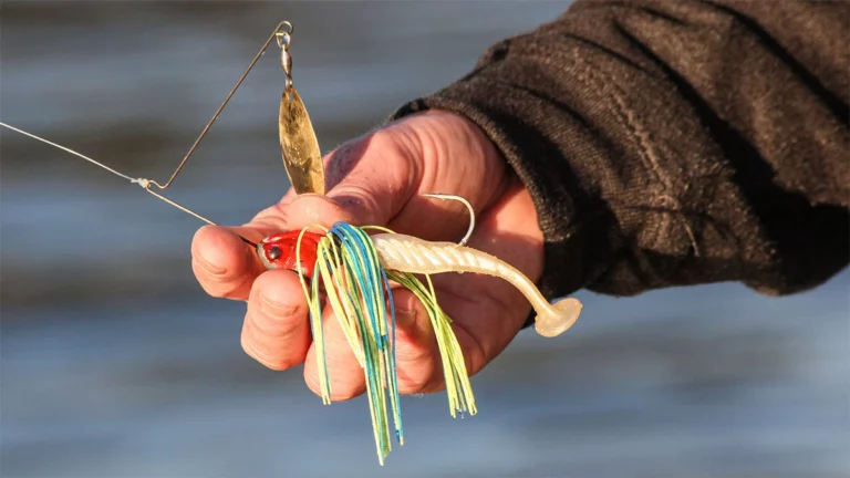 How and Why to Fish a Heavy Spinnerbait Shallow