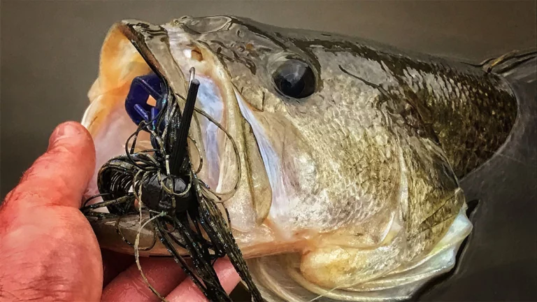 Find Channel Swings to Beat Tough Winter Fishing