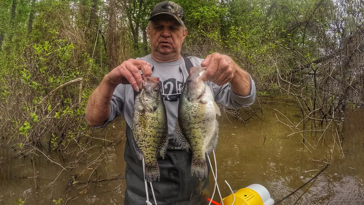 Crappie: King of Spring  Missouri Department of Conservation