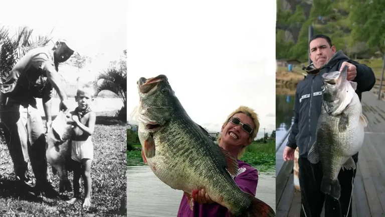 Biggest Bass Ever Caught | The World Record Bass Catches