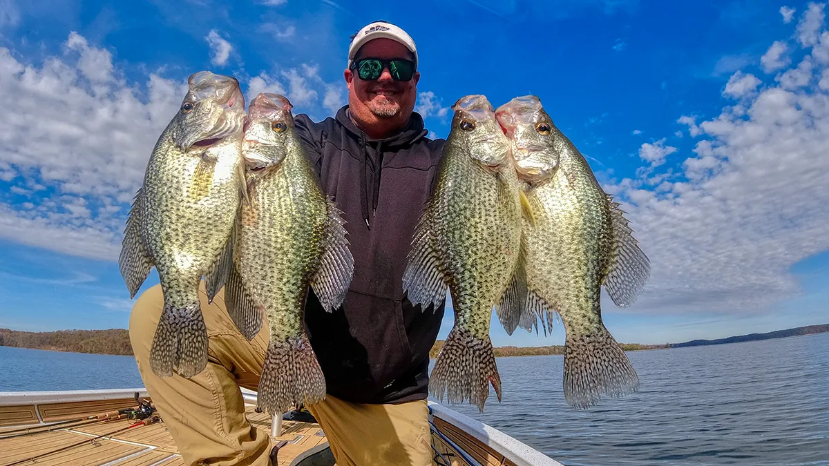 catch big crappie like these with simple tips