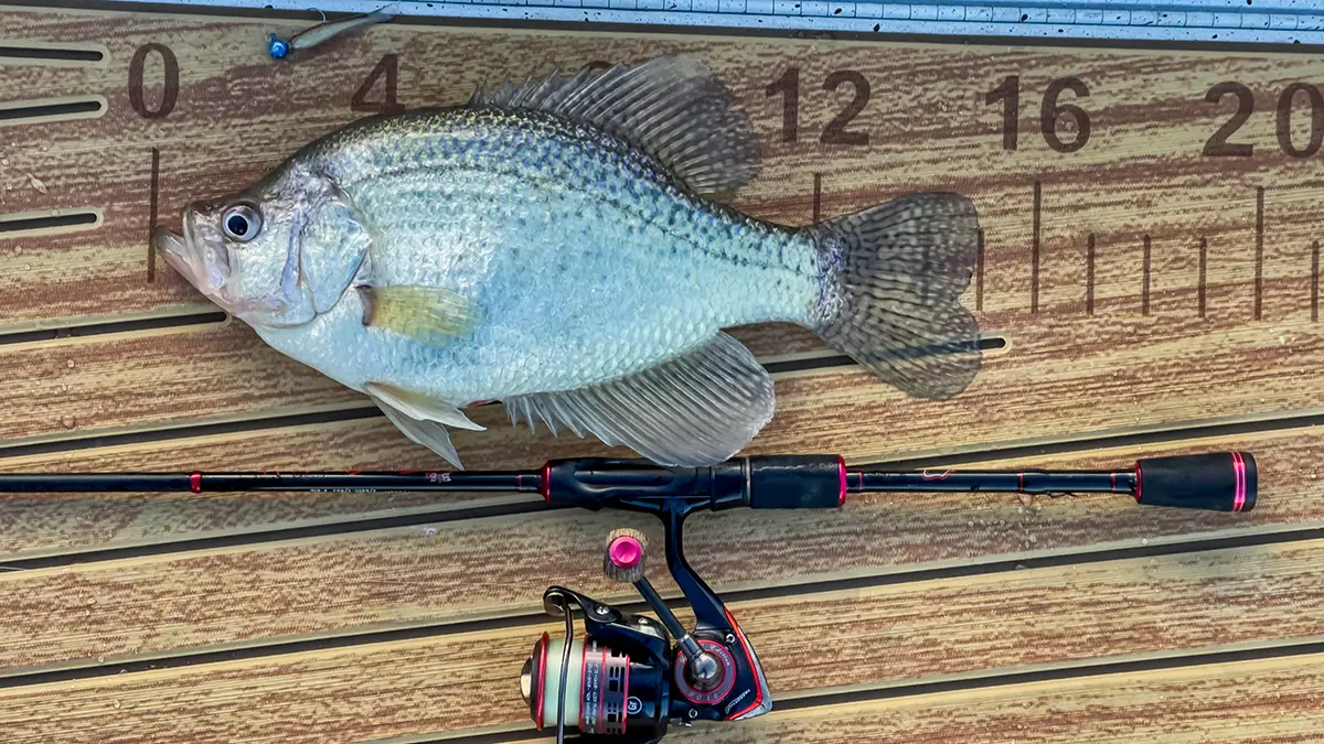 crappie fishing tackle and gear